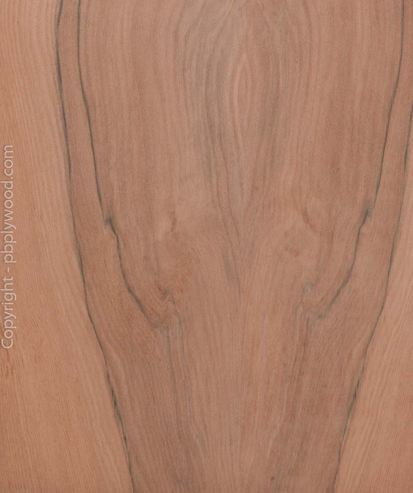 Tineo Veneered Birch Plywood - Peter Benson Plywood Ltd